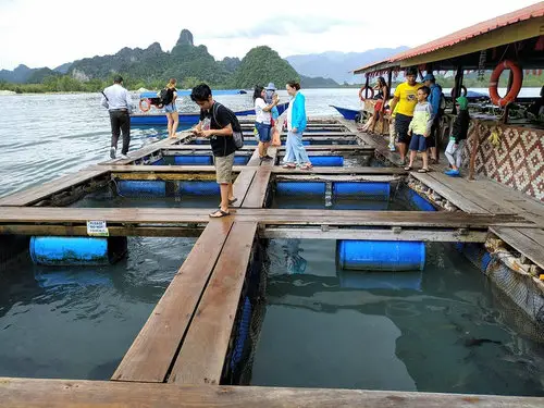 Floating fish farm