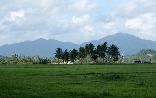 Langkawi Nature Landscape