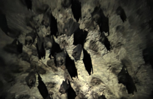 Bat Cave Langkawi