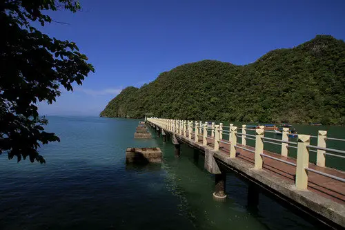 Boardwalk, Dayang Bunting