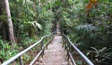 Stairway - Gunung Raya