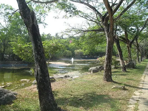 A lake at Lagenda Park
