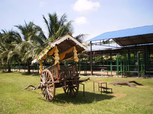 Cart at Buffalo Park, Langkawi