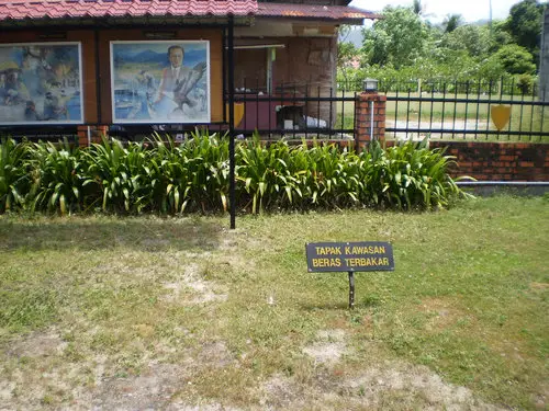 Field of burnt rice Langkawi