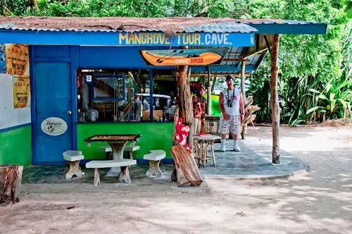 Mangrove Tour Operator